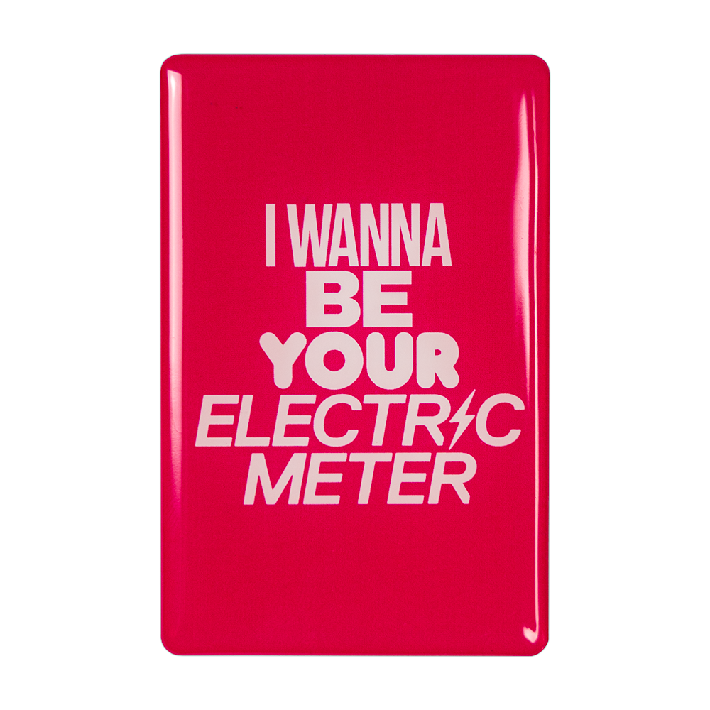 ELECTRIC METER MAGNET